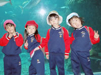 江ノ島水族館に行きました